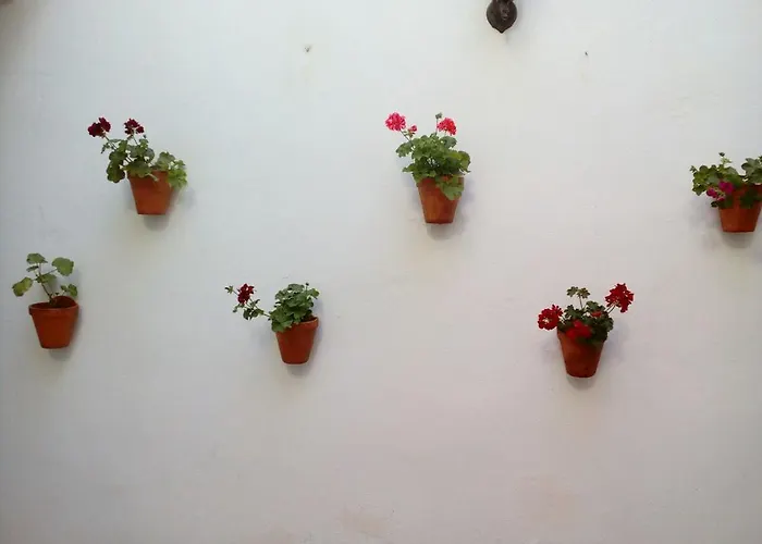 Porvera Jerez Appartement