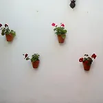 Porvera Jerez شقة